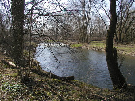 Der Lauf der Innerste in Salzgitter.