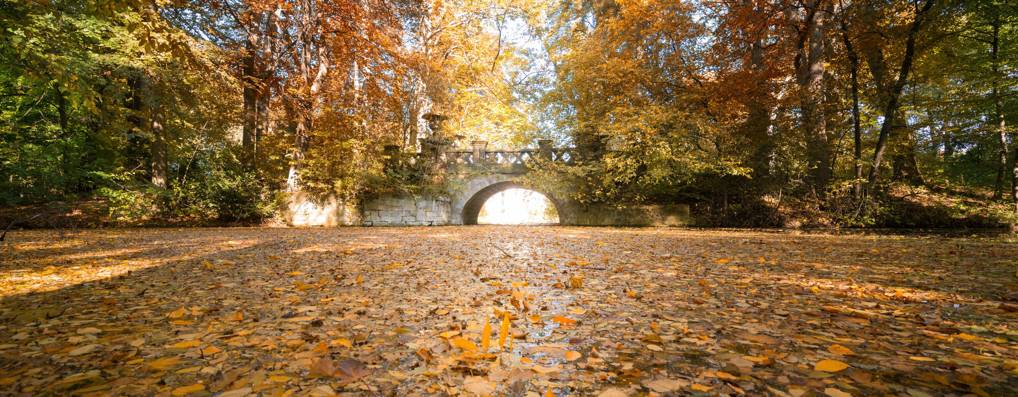 Herbstbild