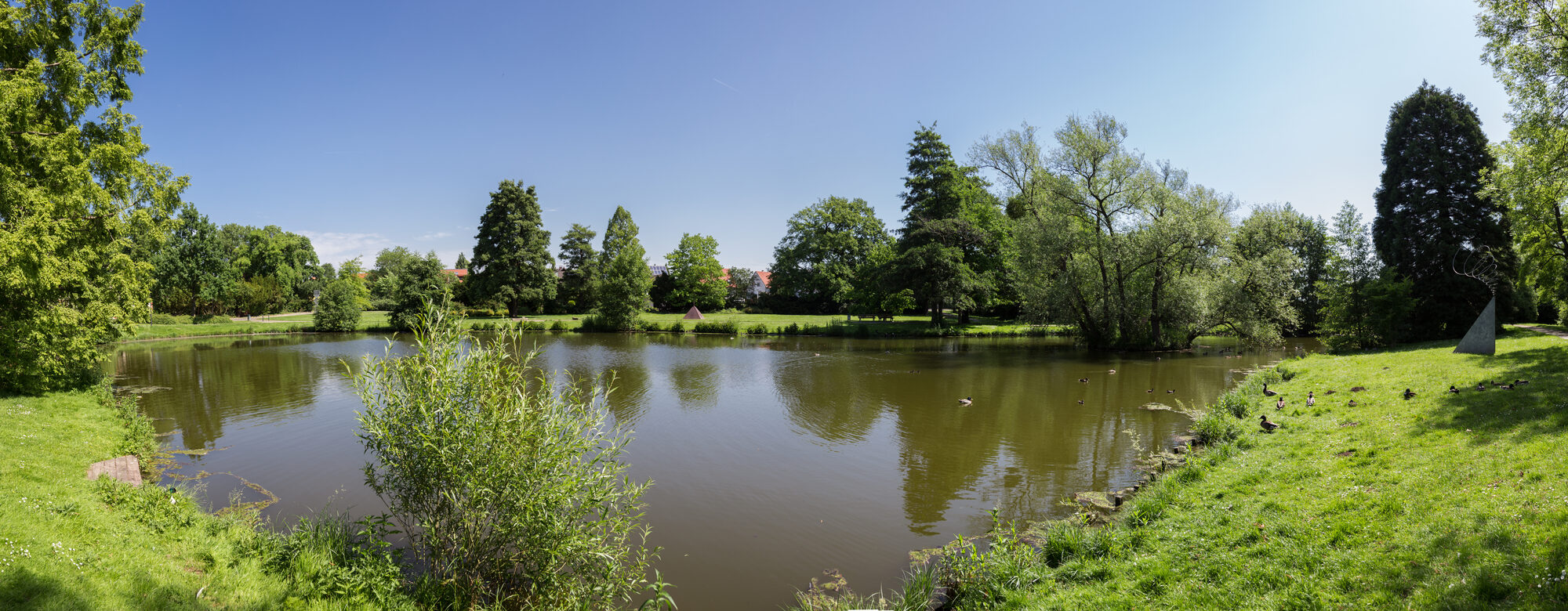 Der Schlossteich in Salder