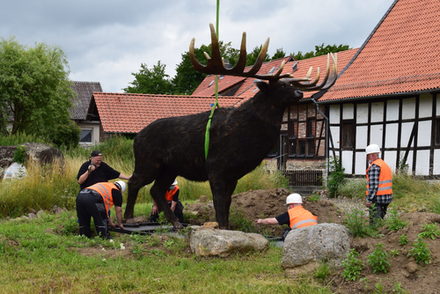 Hier wurde der Riesenhirsch im Eiszeitgarten aufgestellt