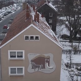 Tierfresken an einem Mehrfamilienhaus im ehemaligen Abschnitt VI.