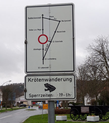 Achtung: Die Kröten sind unterwegs. Straßen werden gesperrt.