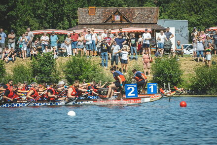 Drachenbootrennen auf dem Salzgittersee.