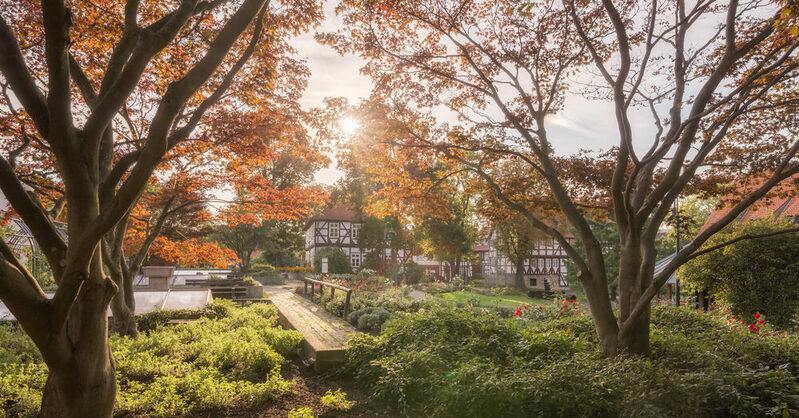 Der herbstliche Rosengarten in Salzgitter-Bad