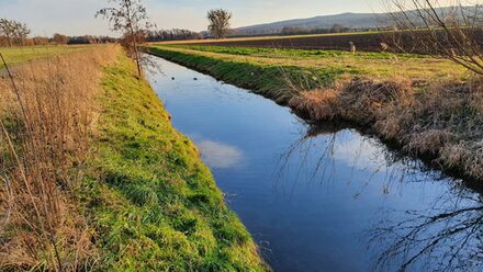 Die Stadt Salzgitter plant zwischen der Autobahn 39 und der Theodor-Heuss-Straße auf städtischen Flächen eine Renaturierung der Fuhseaue und informiert darüber am 11. April.