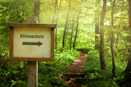 Die Volkshochschule Salzgitter und die Kreisvolkshochschule Peine bieten eine kostenlose Fortbildung rund um den Klimaschutz an.