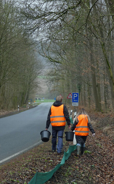 Die Amphibien und das Team der Unteren Naturschutzbehörde der Stadt Salzgitter freuen sich über jede helfende Hand.