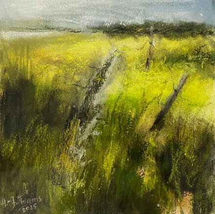 Hans-Jürgen Trams „Raps an der Schlei“, 2025, Pastell und Gouache