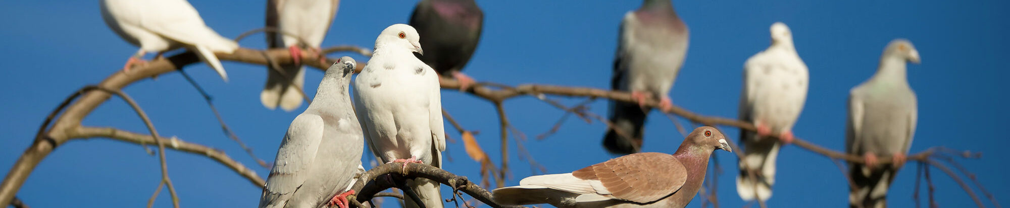 PantherMedia / Zden?k Malý