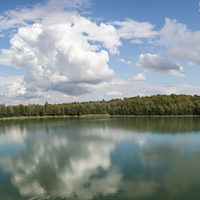 Der Reihersee bei Gebhardshagen lädt zum Spaziergang ein.