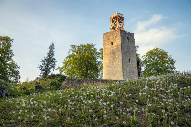 Die Burgruine in Lichtenberg.