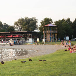 Reppnersche Bucht am Salzgittersee