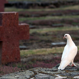 Seit 2010 findet jährlich ein Seminar mit Auszubildenden der Salzgitter Flachstahl zur Vorbereitung der Gedenkstunde im April statt, seit dem vergangenen Jahr Jahr jeweils ein weiteres in der zweiten Jahreshälfte. Die Ergebnisse werden in einer Ausstellung gezeigt.