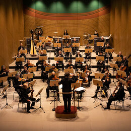 Das Sinfonieorchester des Theaters für Niedersachsen ist zu Gast in Salzgitter.